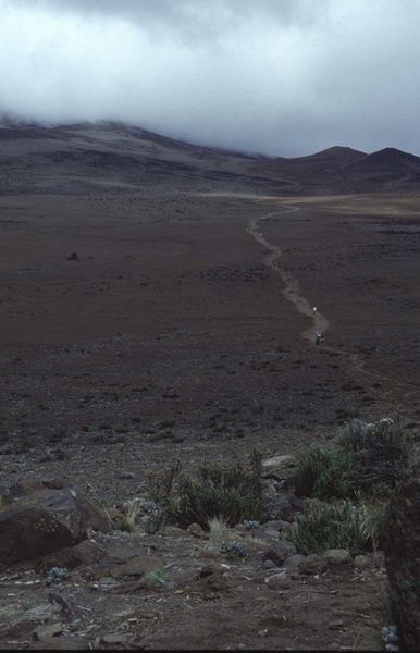 Aufst. zur Kibohut ca. 4000m