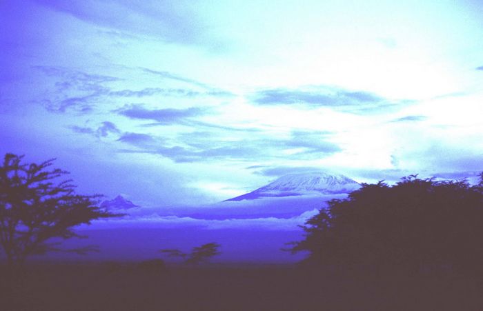 Kibo vom Amboseli