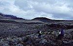 Aufst. zur Kibohut ca. 4000m