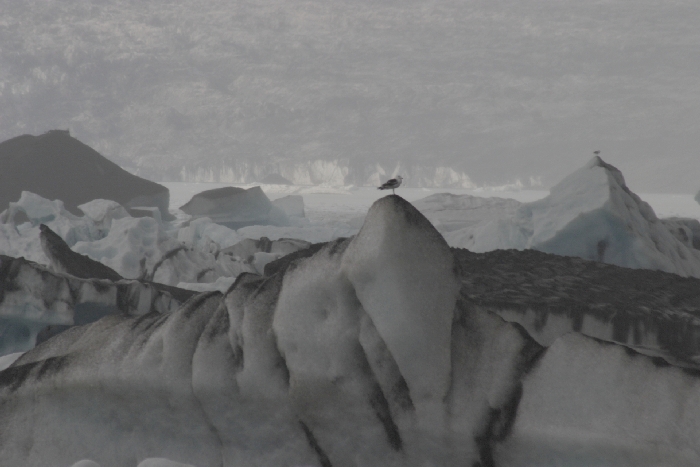 J&ouml;kulsarlon - Gletschersee