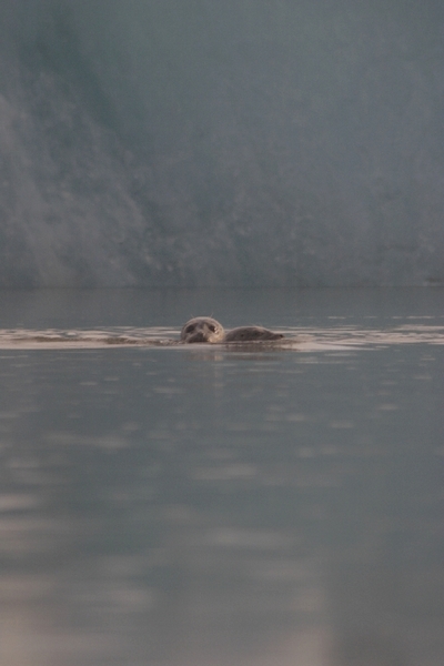 J&ouml;kulsarlon - Gletschersee