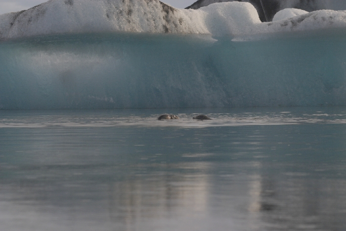 J&ouml;kulsarlon - Gletschersee