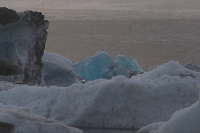 J&ouml;kulsarlon - Gletschersee