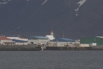 Westfjorde