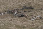 Grundarfj&ouml;rdur