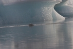 J&ouml;kulsarlon - Gletschersee