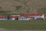 Haliu