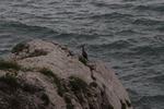 Schloss Miramare