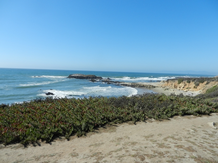 Pescadero State Beach