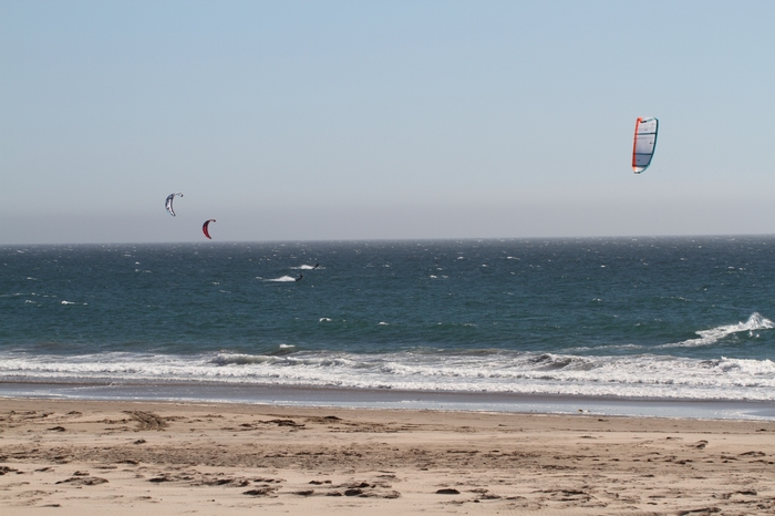 Ano Nuevo Bay