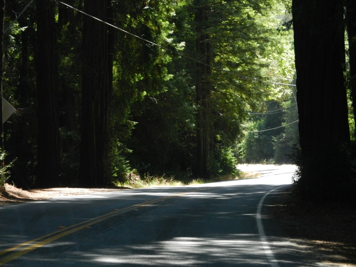 Hwy 1 Cabrillo