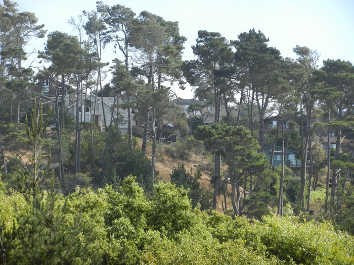 Hwy 1