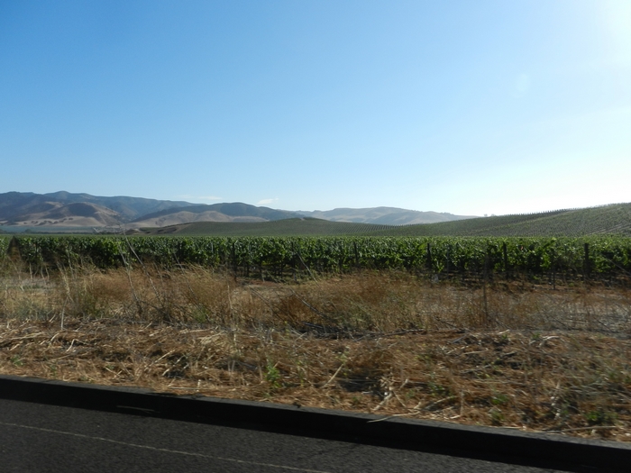 Hwy 1