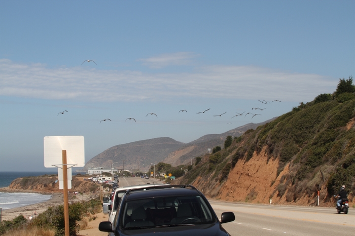 Hwy 1