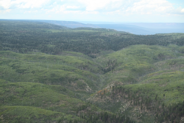 Flug Grand-Canyon