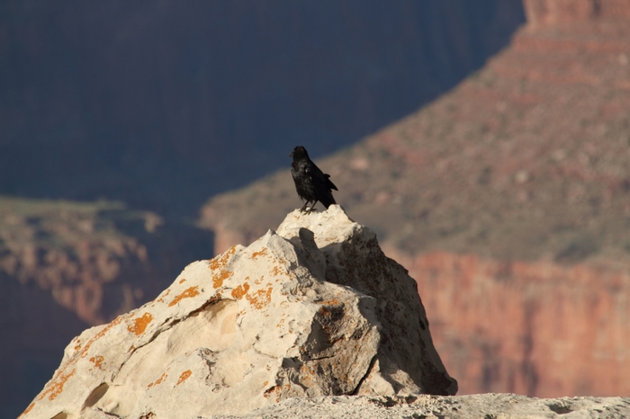 Grand-Canyon