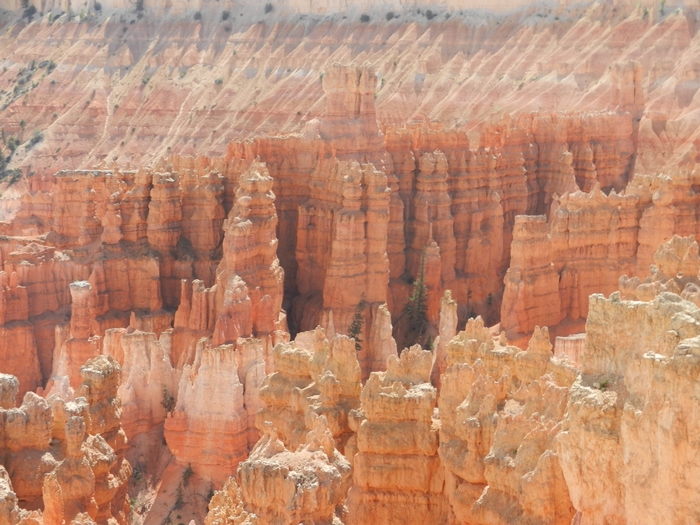 Bryce Canyon