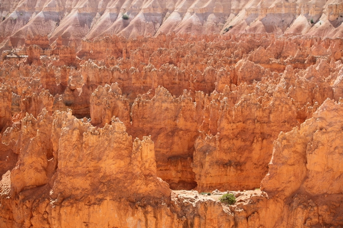 Bryce Canyon