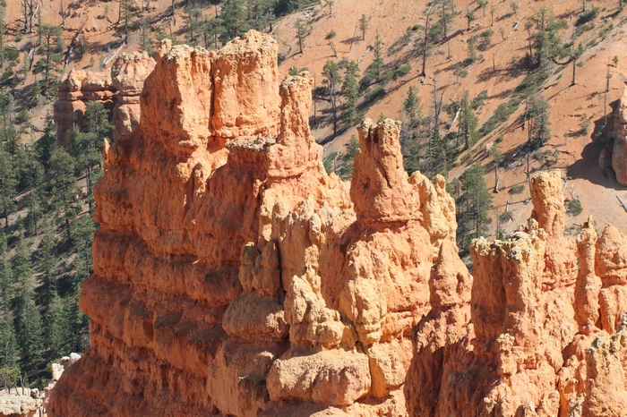 Bryce Canyon