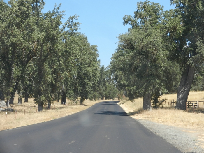 M3 Jack Ranch Rd