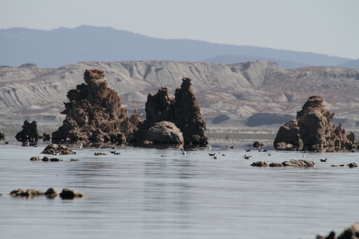 Mono Lake Park