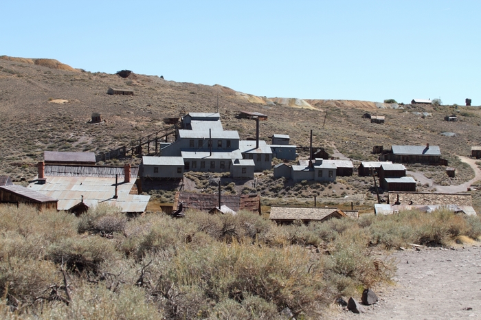 Bodie
