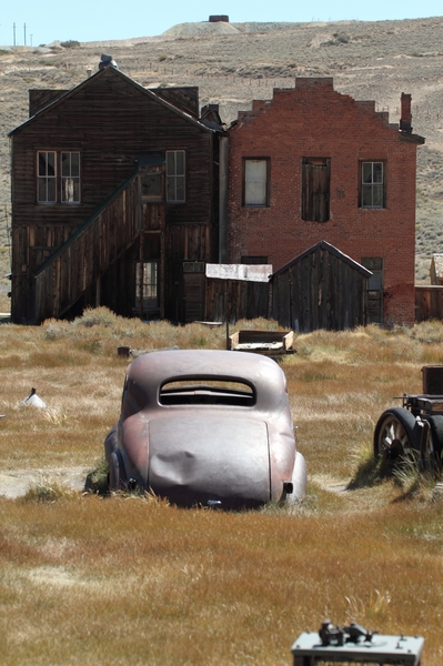 Bodie
