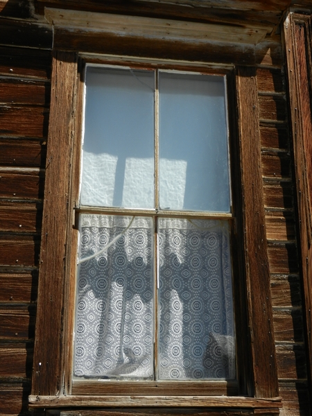 Bodie