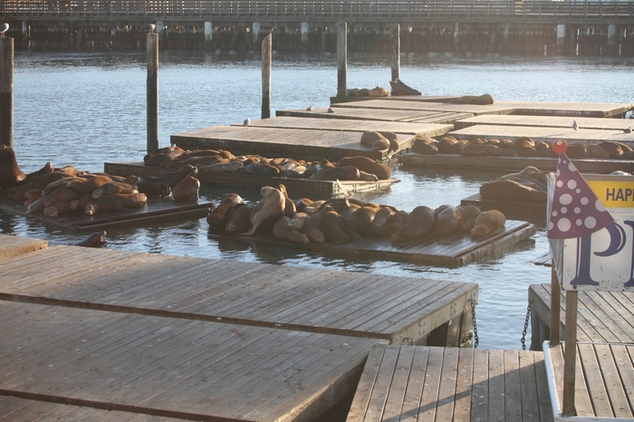 San Francisco.Pier 39