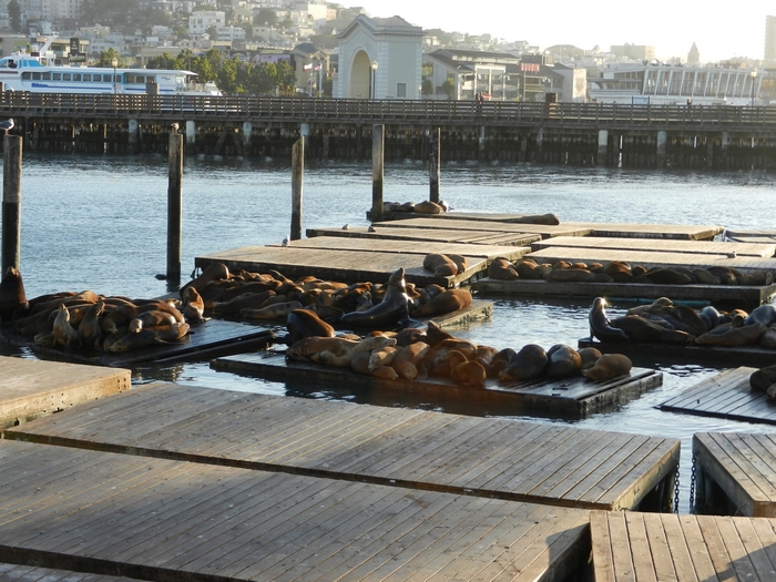 San Francisco.Pier 39