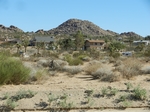 29 Palms