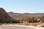 Joshua Tree NP