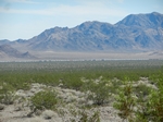 Route 66