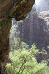 Zion Park.H&auml;ngende G&auml;rten