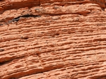 Valley of Fire