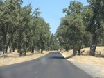 M3 Jack Ranch Rd