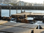 San Francisco.Pier 39