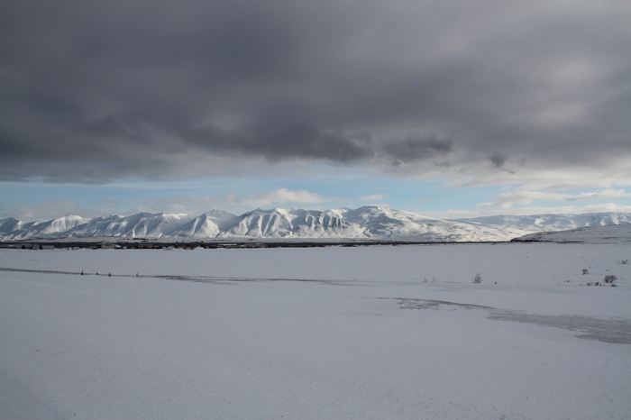 Dalvik
