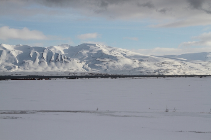 Dalvik