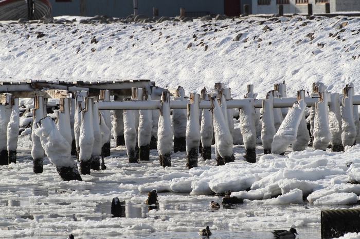 Siglufj&ouml;rdur