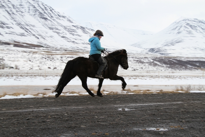 Hrafnagil