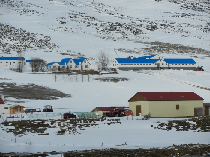 Fahrt Akureyri nach Borgarvirki