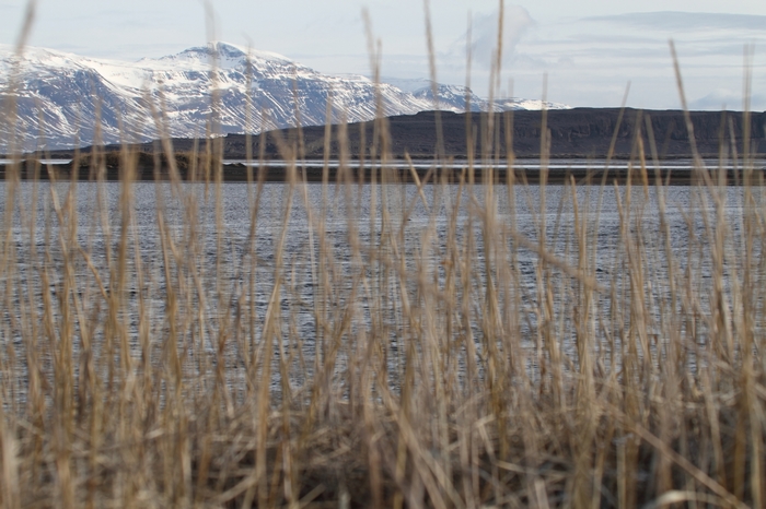 Bei Hvitserkur