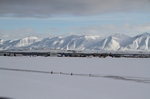 Dalvik