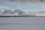 Dalvik