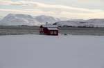 Dalvik