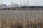 Bei Hvitserkur
