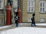 Amalienborg Wachabl&ouml;se