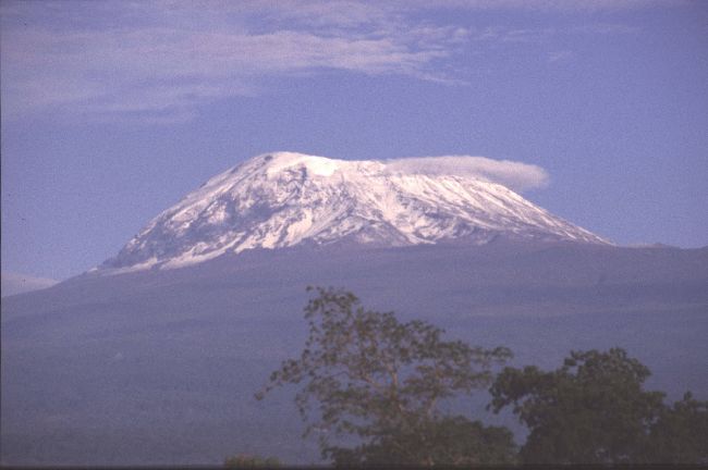 Kilimanjaro