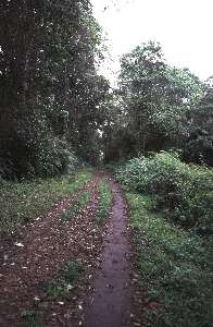Weg